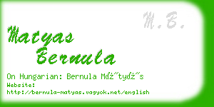 matyas bernula business card